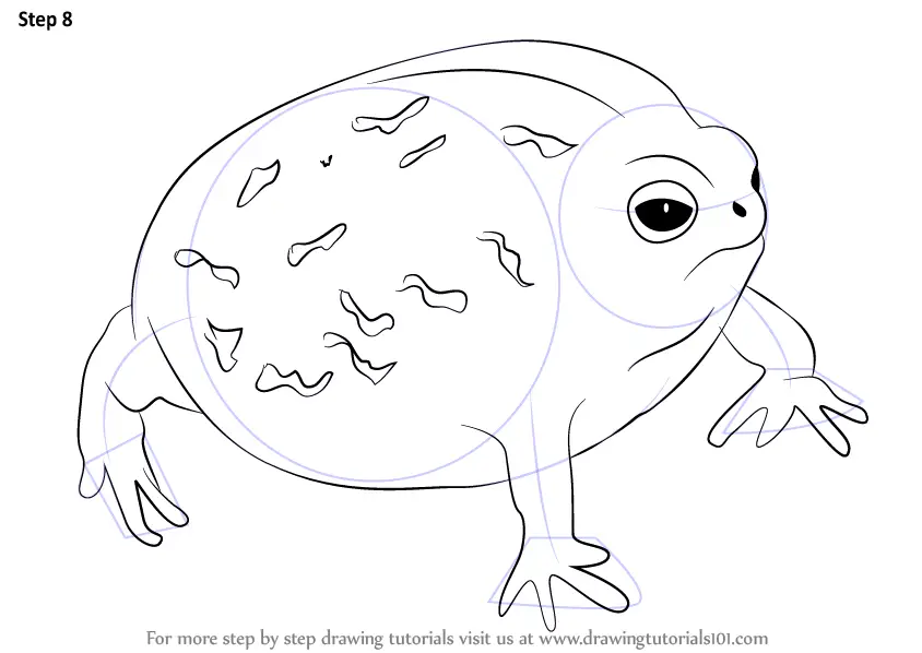 Learn How To Draw A Desert Rain Frog Amphibians Step By Step Drawing Tutorials