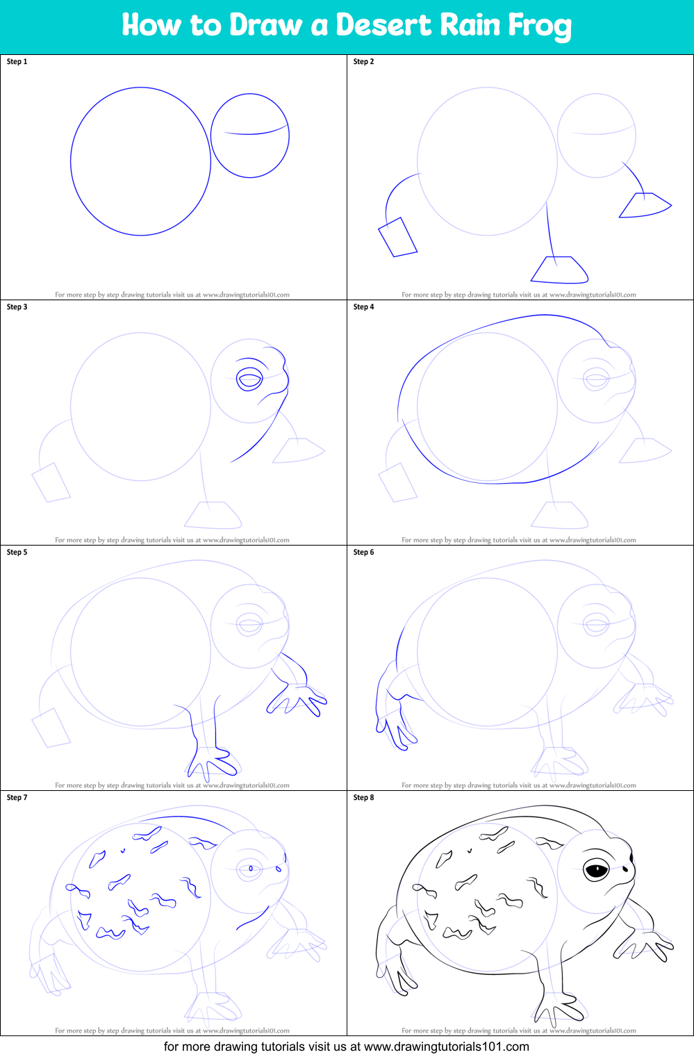 How to Draw a Desert Rain Frog Printable Step by Step