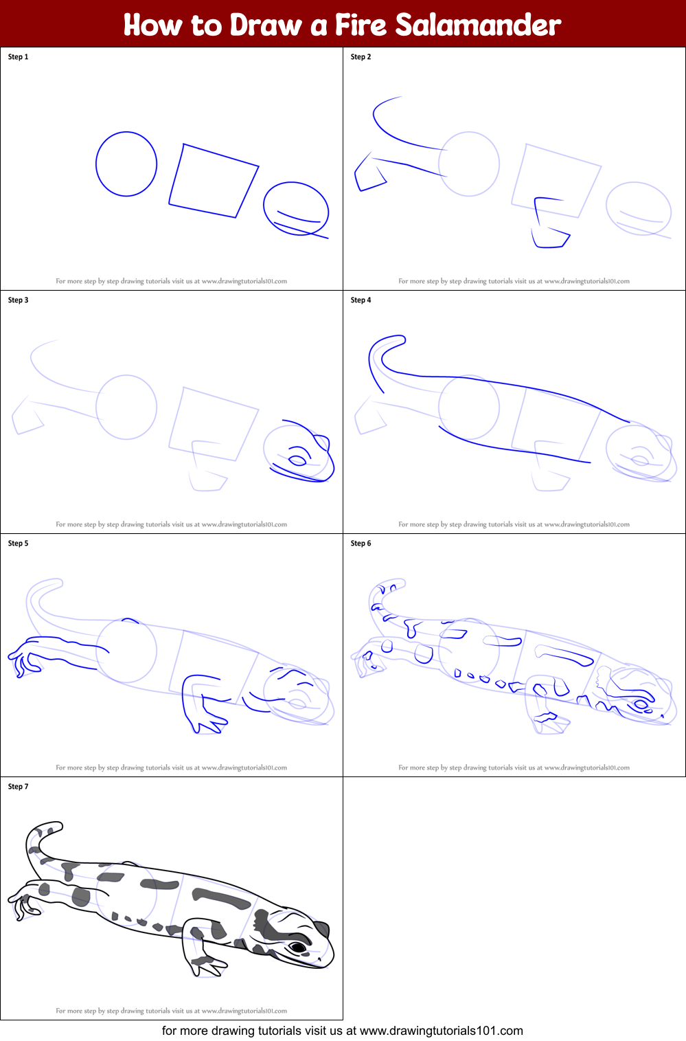 How to Draw a Fire Salamander Printable Step by Step