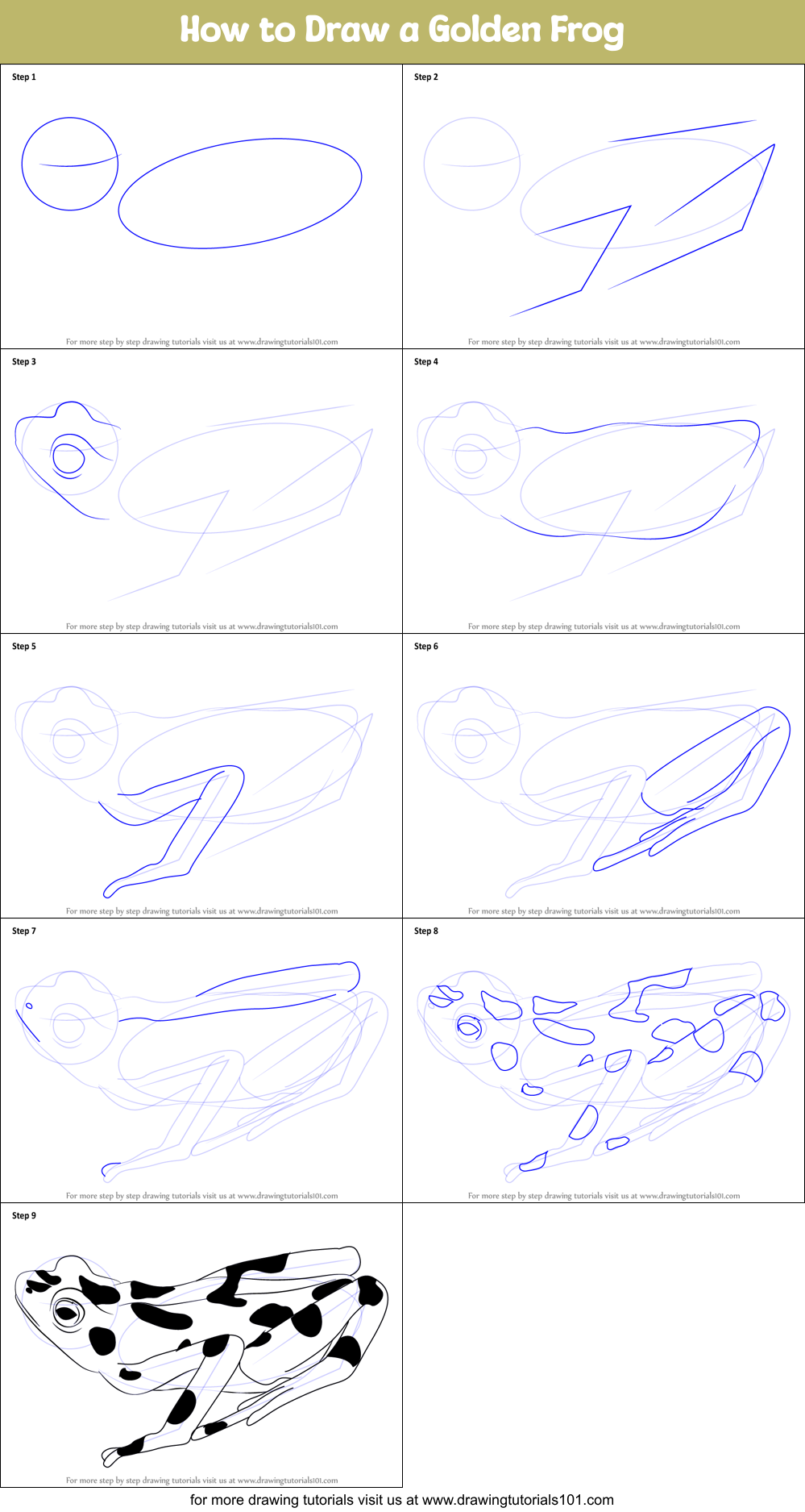 How to Draw a Golden Frog Printable Step by Step