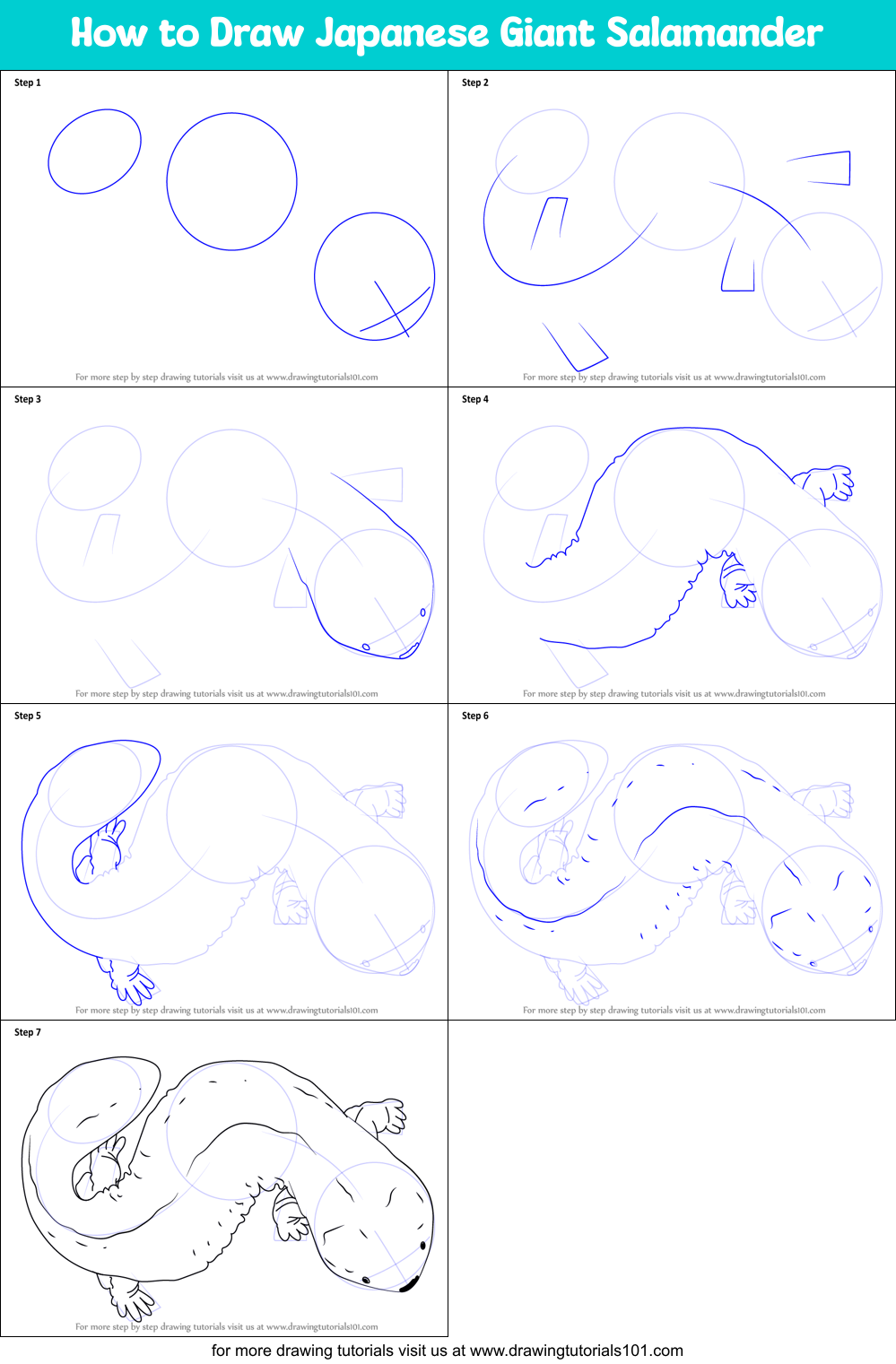 How to Draw Japanese Giant Salamander Printable Step by Step