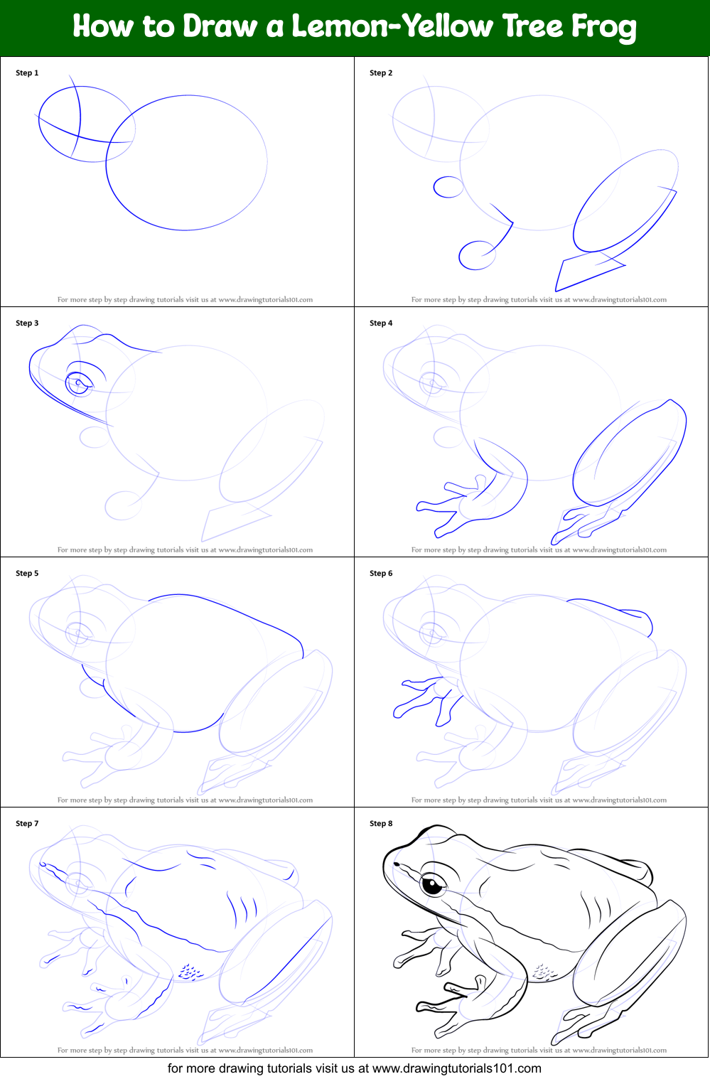 How to Draw a Lemon-Yellow Tree Frog Printable Step by Step