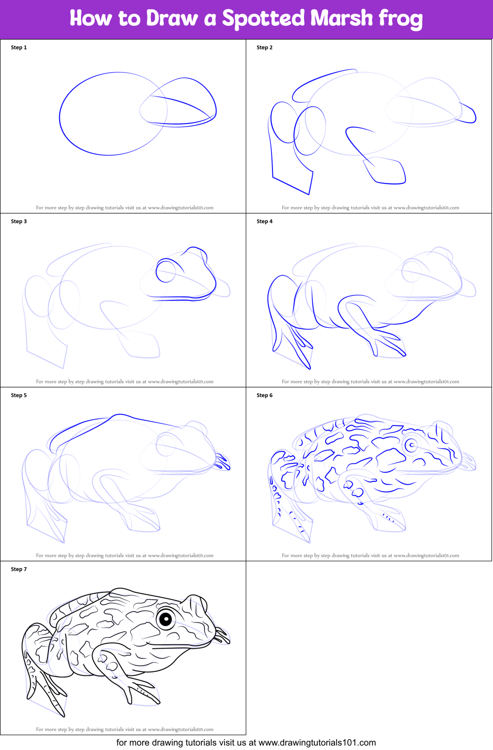 How to Draw a Spotted Marsh frog Printable Step by Step