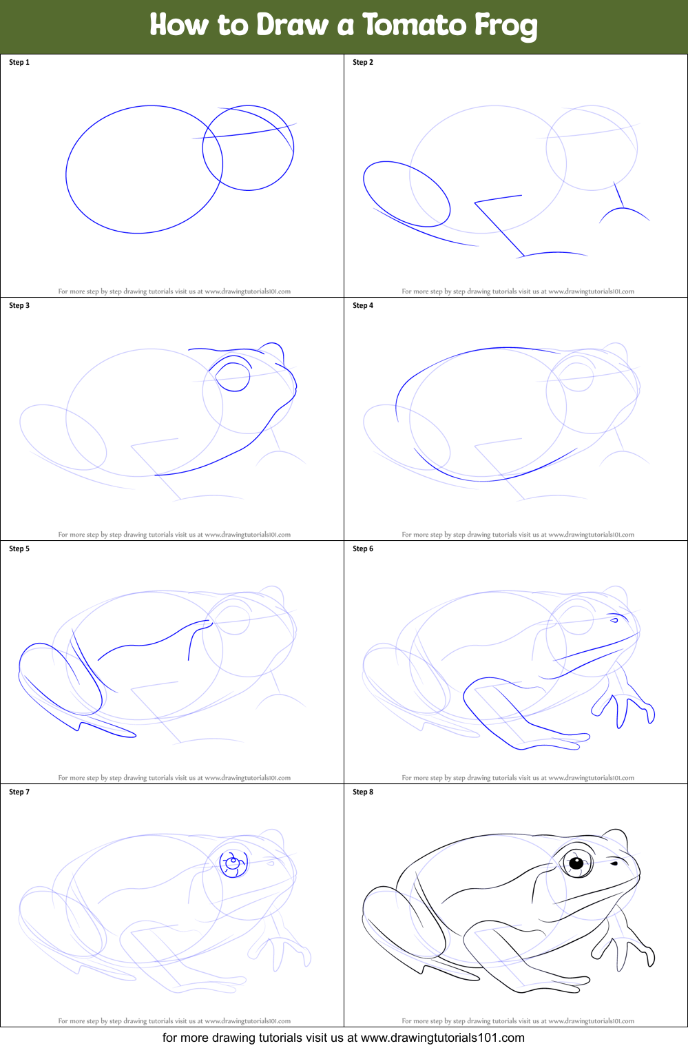 How to Draw a Tomato Frog Printable Step by Step