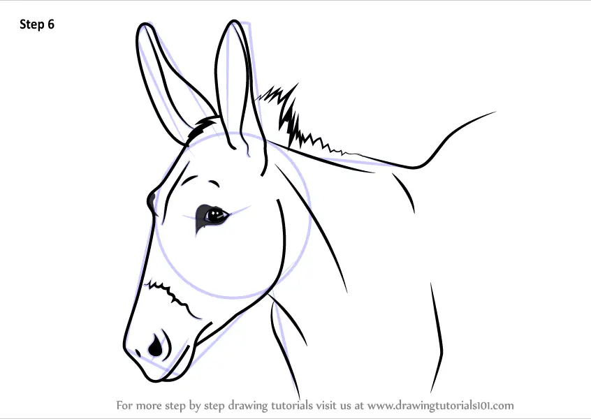 Learn How to Draw a Donkey Face (Animal Faces) Step by Step : Drawing
