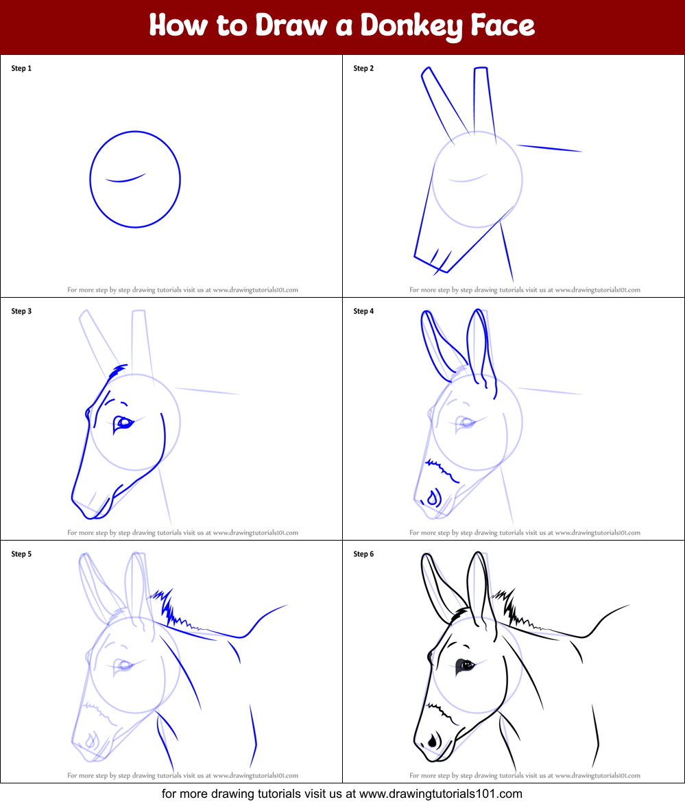 How to Draw a Donkey Face Printable Step by Step
