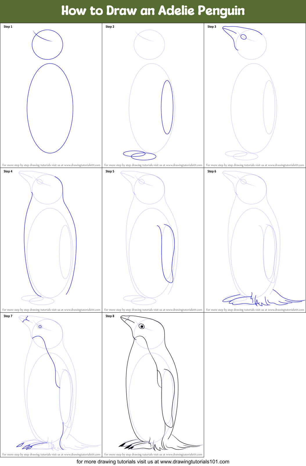 How to Draw an Adelie Penguin Printable Step by Step