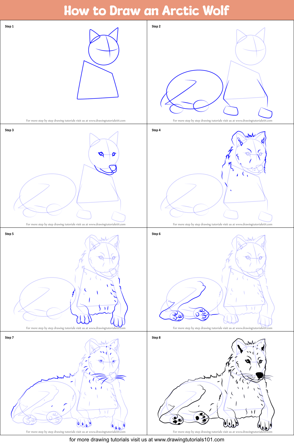 How to Draw an Arctic Wolf Printable Step by Step