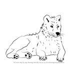 how to draw an arctic wolf Wolves arctic facts pouted - Step by Step ...