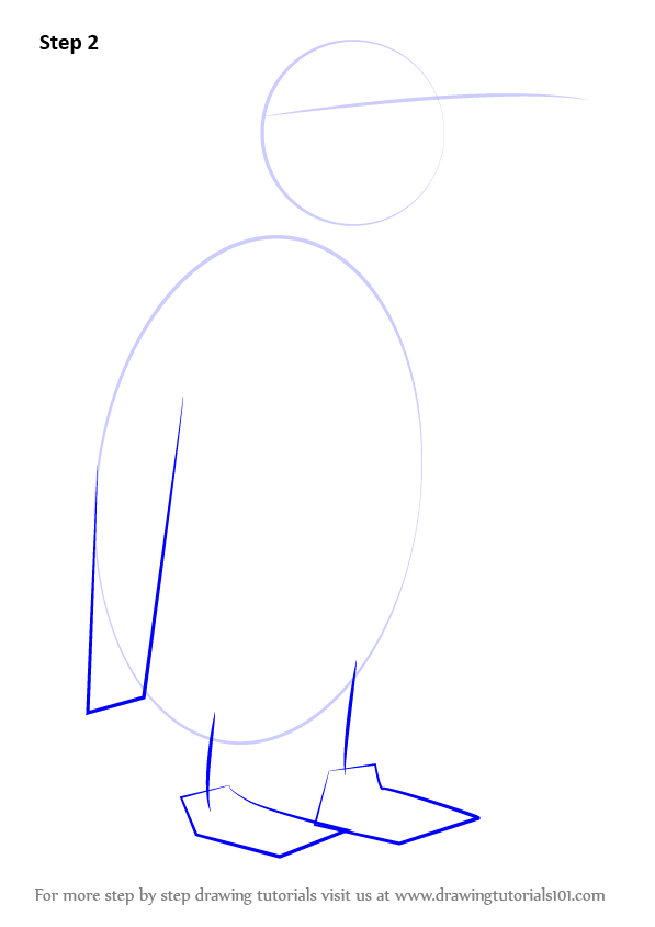 How to Draw a Chinstrap Penguin (Antarctic Animals) Step by Step