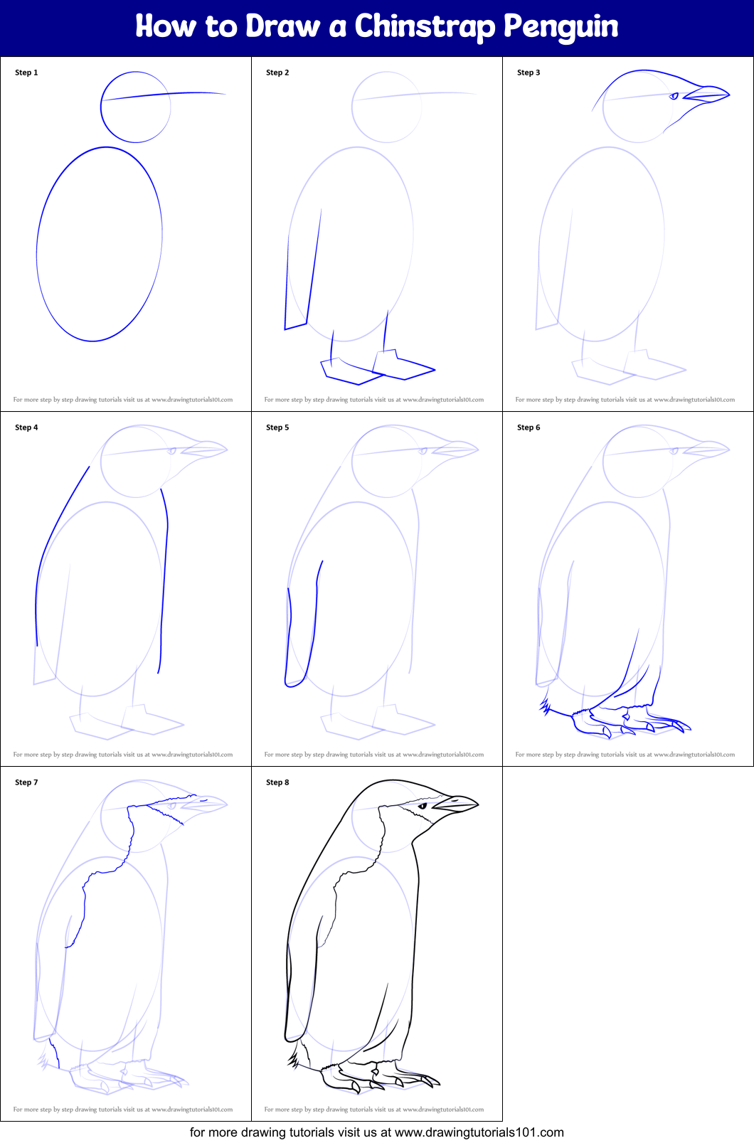 How to Draw a Chinstrap Penguin Printable Step by Step
