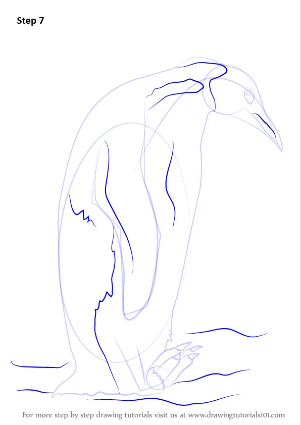 Learn How to Draw an Emperor Penguin (Antarctic Animals) Step by Step