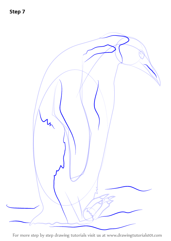 Learn How to Draw an Emperor Penguin (Antarctic Animals) Step by Step