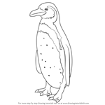 How to Draw a Humboldt Penguin