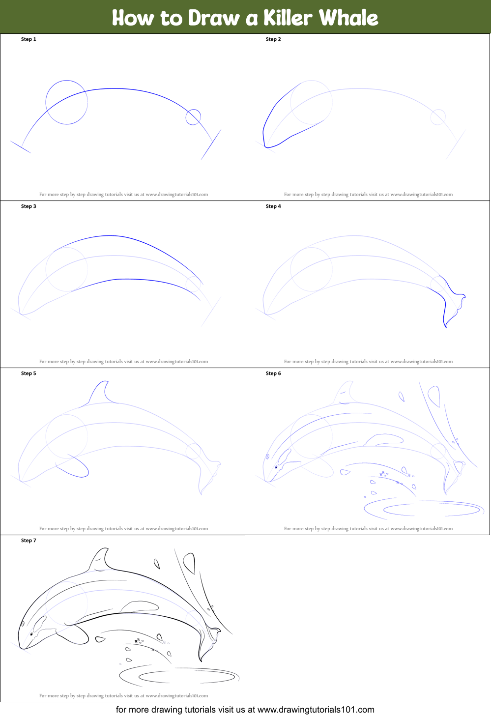 How to Draw a Killer Whale Printable Step by Step