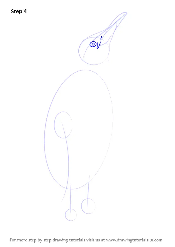 Learn How to Draw a King Penguin (Antarctic Animals) Step by Step