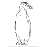 How to Draw a Macaroni Penguin