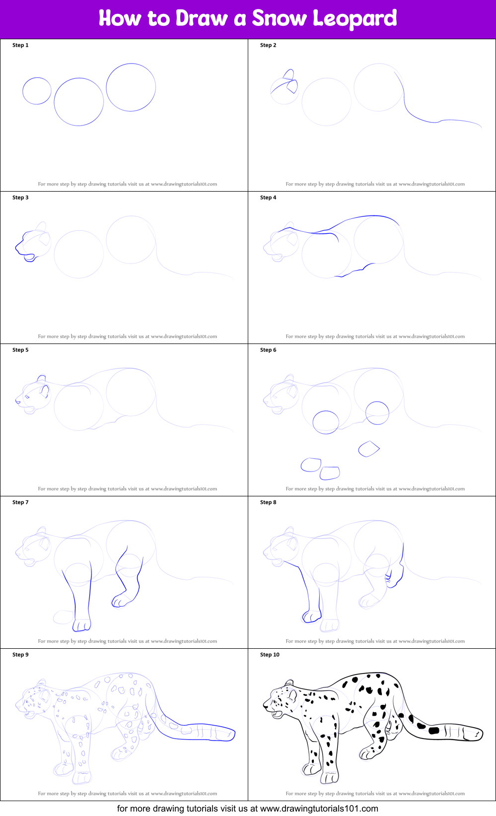 How to Draw a Snow Leopard Printable Step by Step