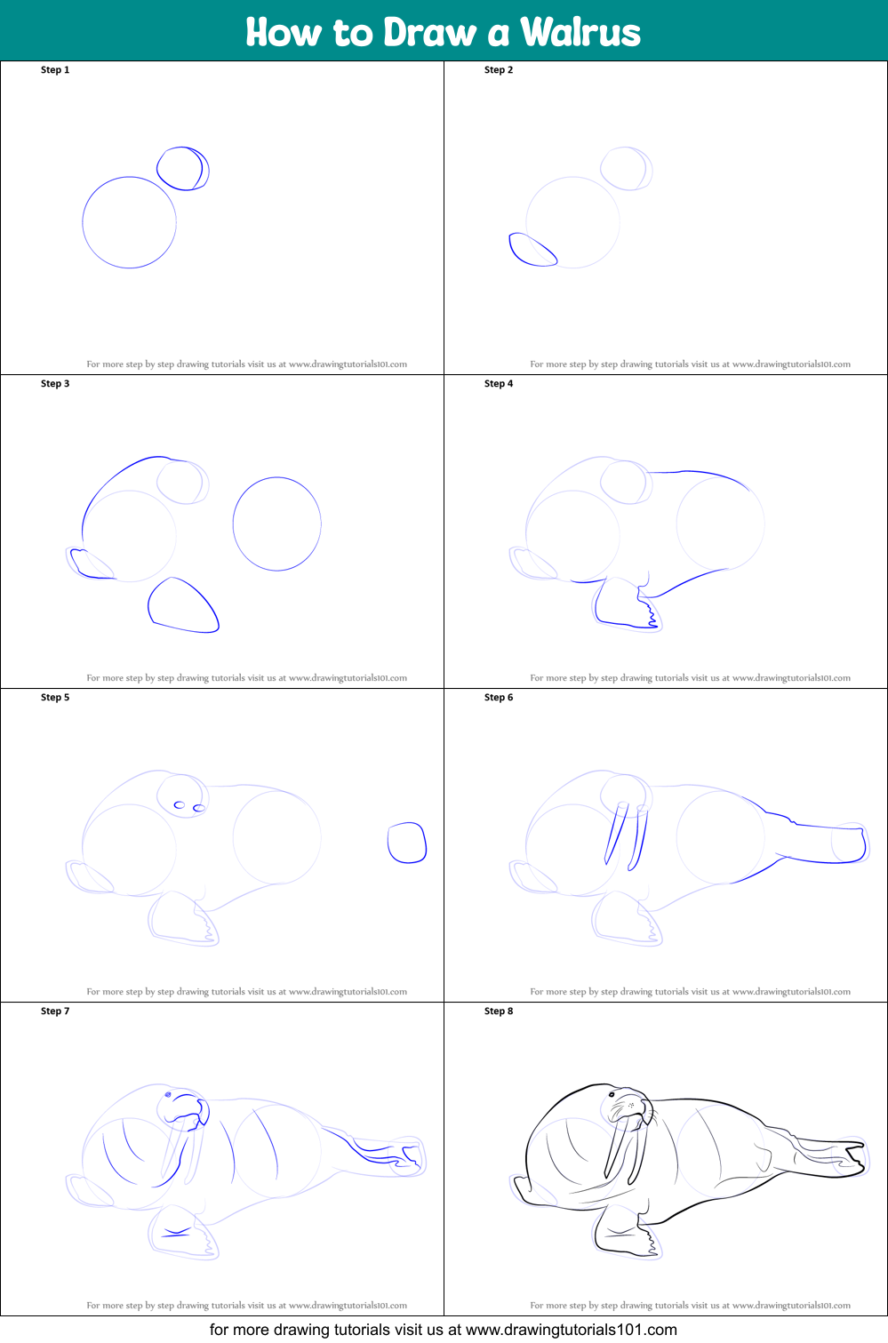 How to Draw a Walrus printable step by step drawing sheet