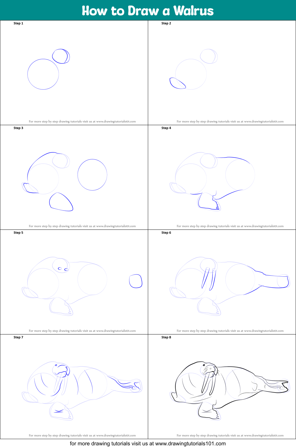 How to Draw a Walrus Printable Step by Step