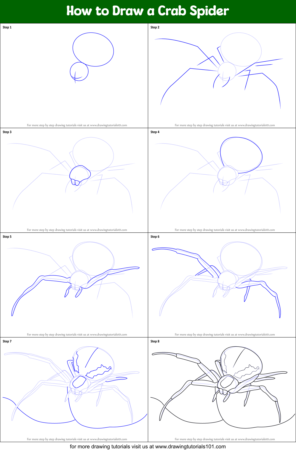 How to Draw a Crab Spider Printable Step by Step