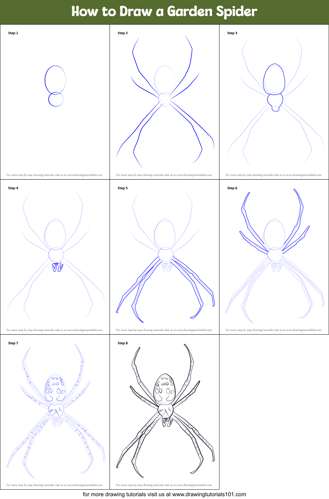 How to Draw a Garden Spider printable step by step drawing sheet