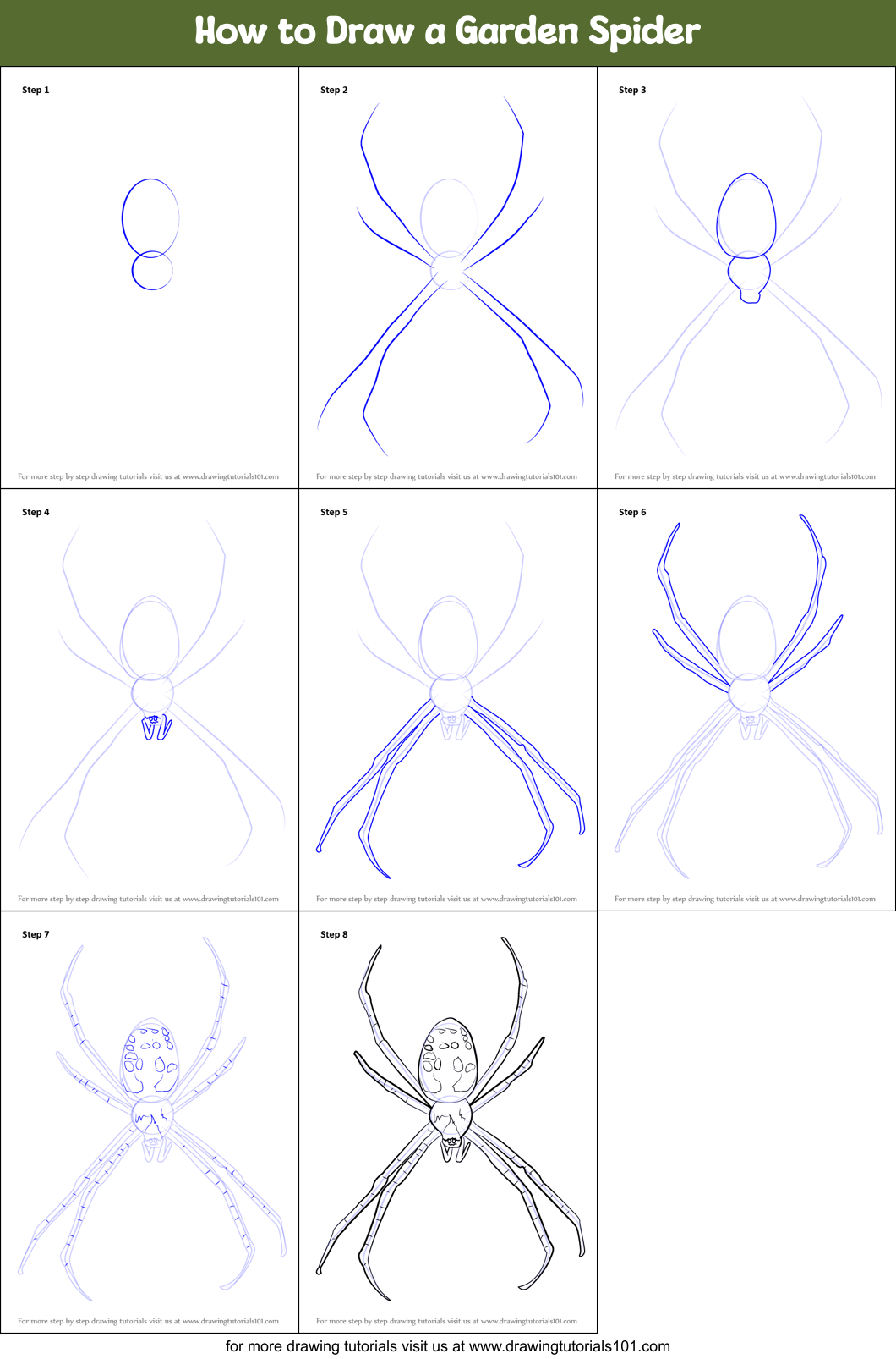 How to Draw a Garden Spider Printable Step by Step