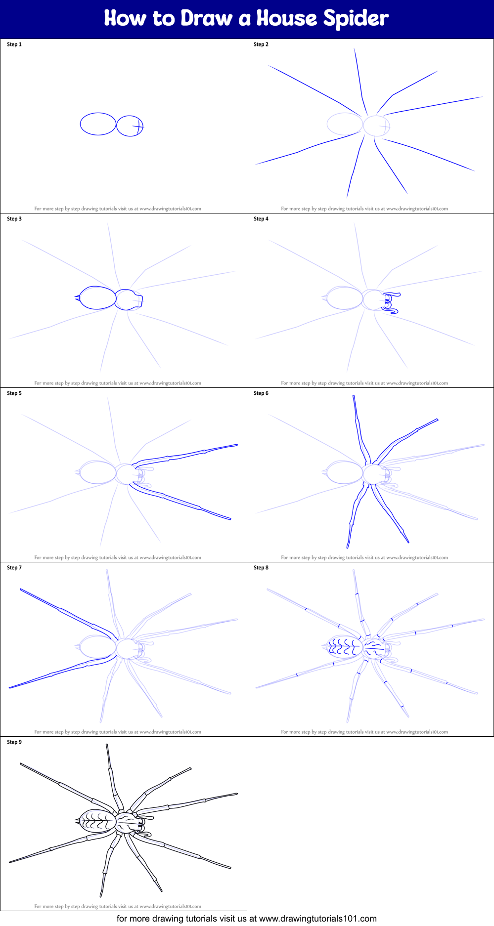 How to Draw a House Spider Printable Step by Step