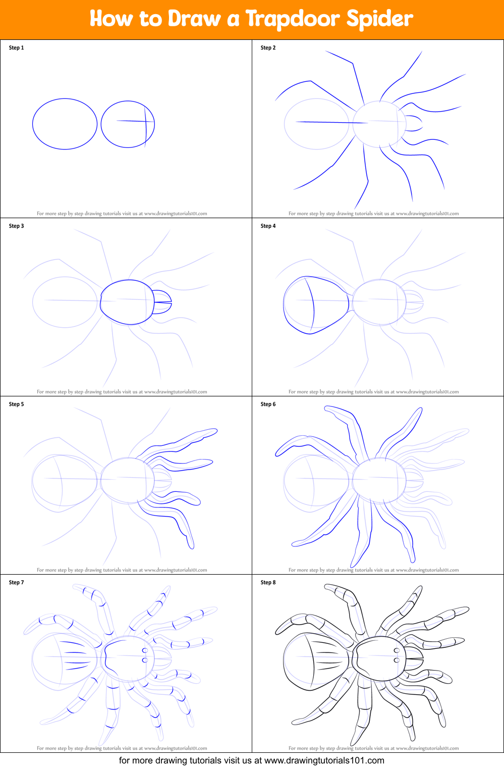 How to Draw a Trapdoor Spider Printable Step by Step