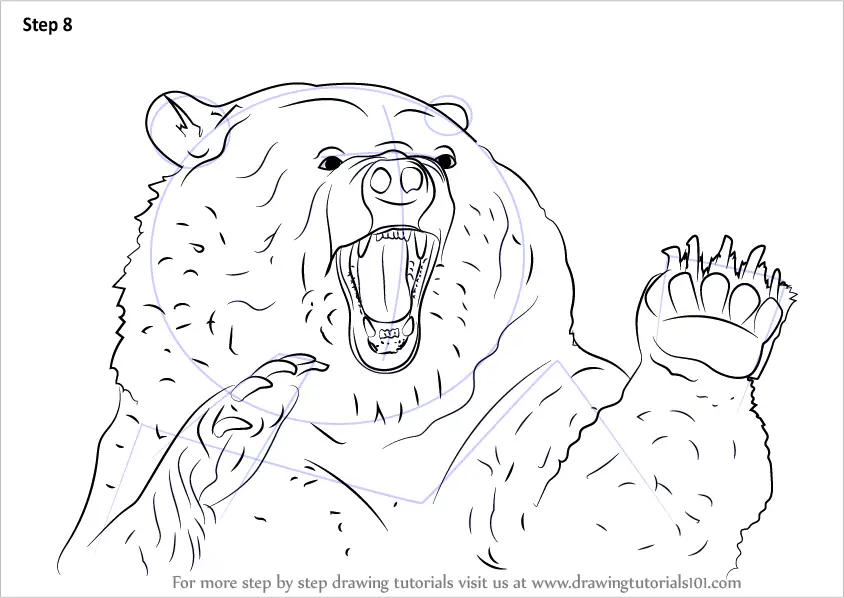 Learn How to Draw an Angry Grizzly Bear (Bears) Step by