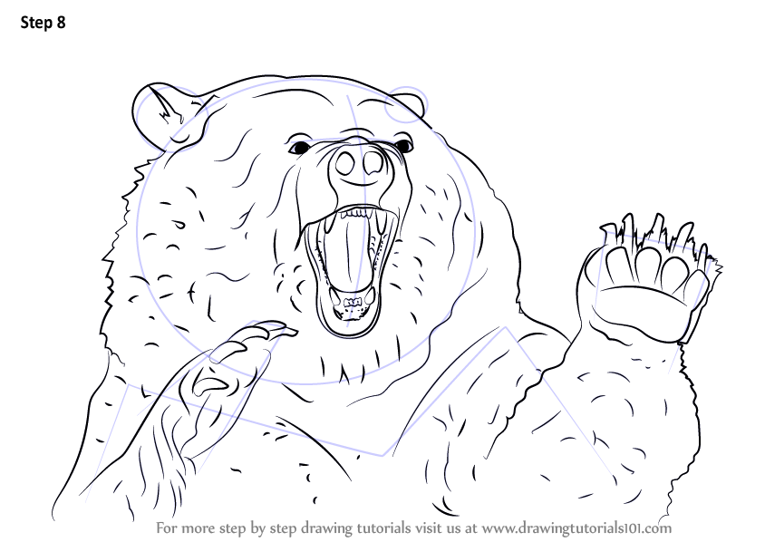 Learn How to Draw an Angry Grizzly Bear (Bears) Step by Step : Drawing