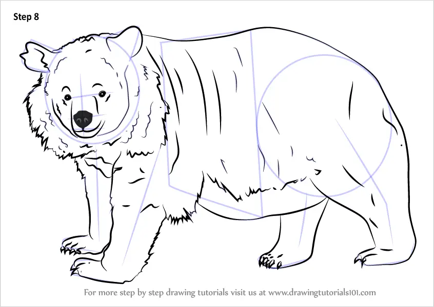 How to Draw an Asian black bear (Bears) Step by Step ...
