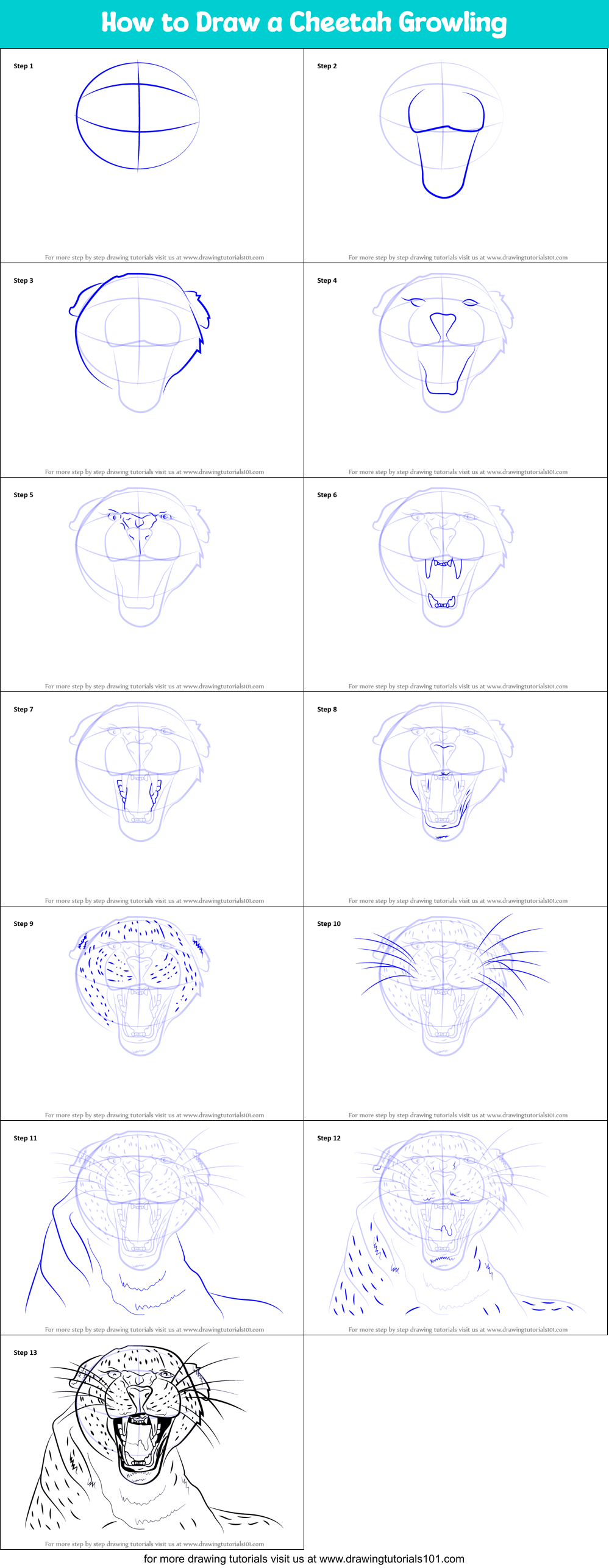 How to Draw a Cheetah Growling Printable Step by Step