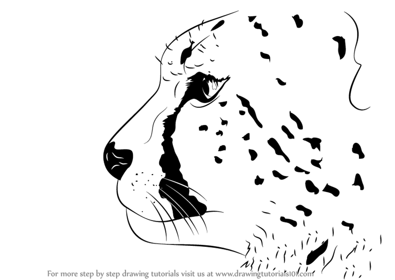 Featured image of post Cartoon Drawing Cheetah Face