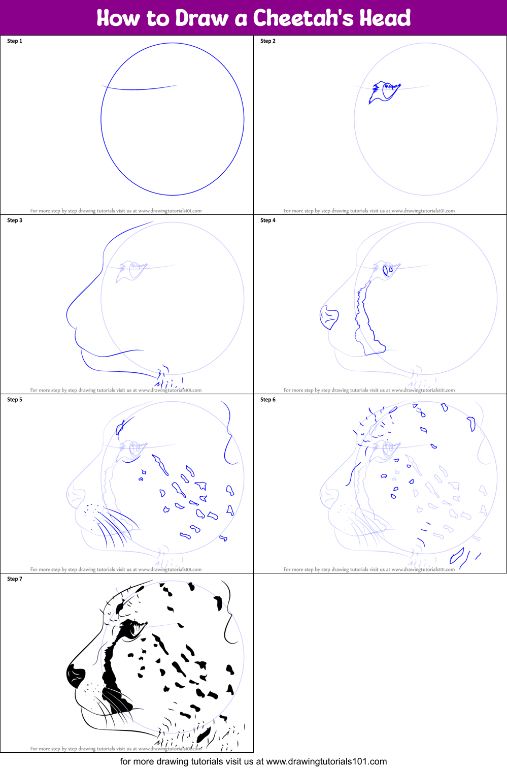 How to Draw a Cheetah's Head Printable Step by Step