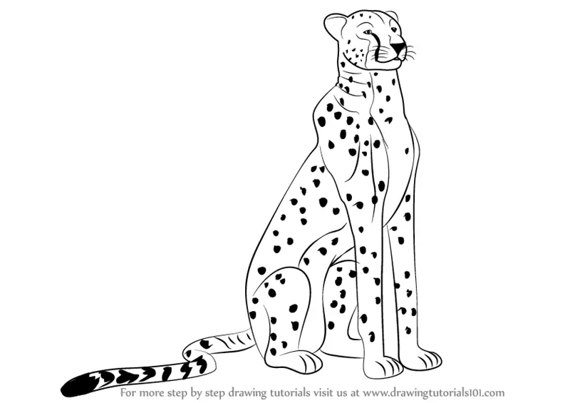 Learn How To Draw A Cheetah Sitting Big Cats Step By Step Drawing Tutorials