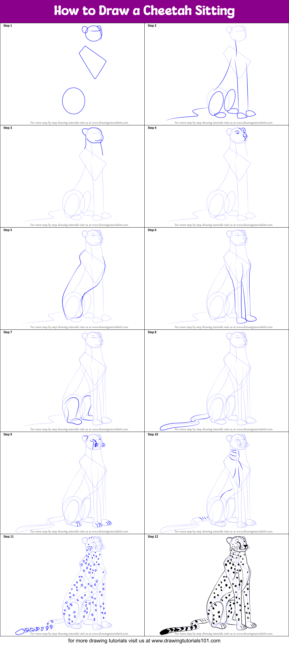How to Draw a Cheetah Sitting Printable Step by Step