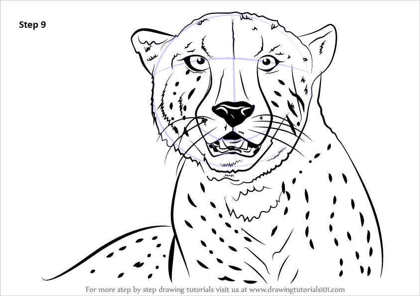 Discover more than 131 cheetah face drawing