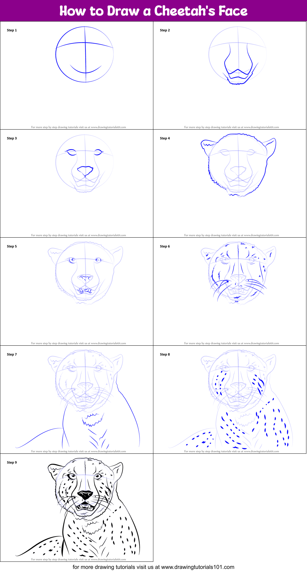 How to Draw a Cheetah's Face Printable Step by Step