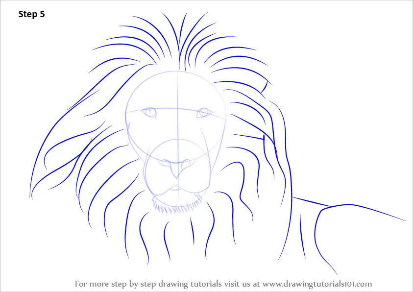Lion Face Drawing - Etsy Australia