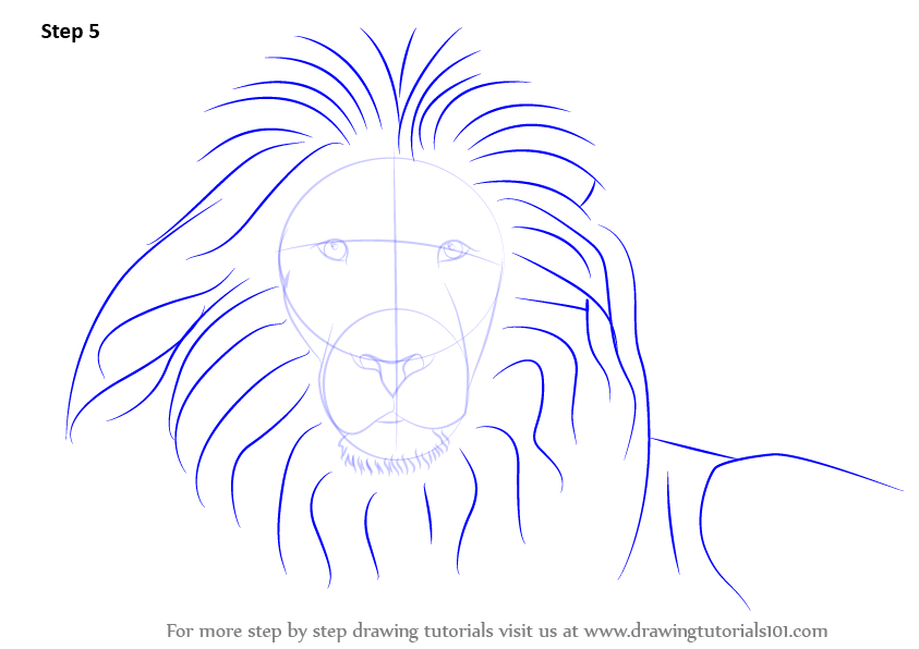 Featured image of post Realistic Lion Drawing Easy Step By Step - Easy step by step drawing tutorials and instructions for beginner and intermediate artists looking to improve their overall drawing skills.