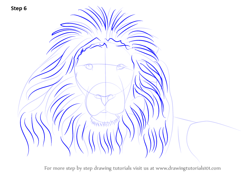 Learn How to Draw a Lion's Face (Big Cats) Step by Step : Drawing Tutorials