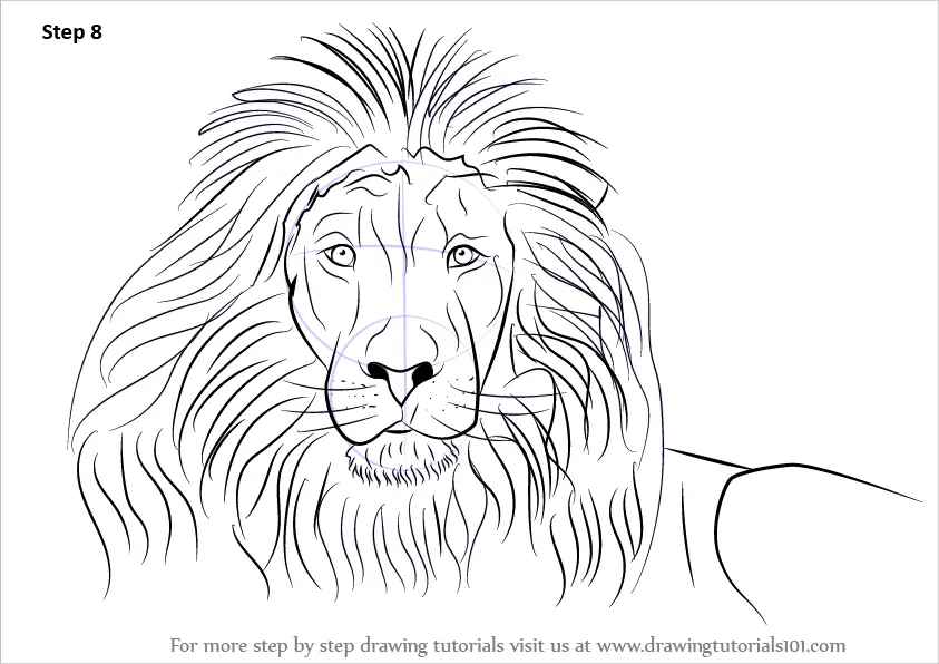Lion Drawing Face Stock Vector Image & Art - Alamy