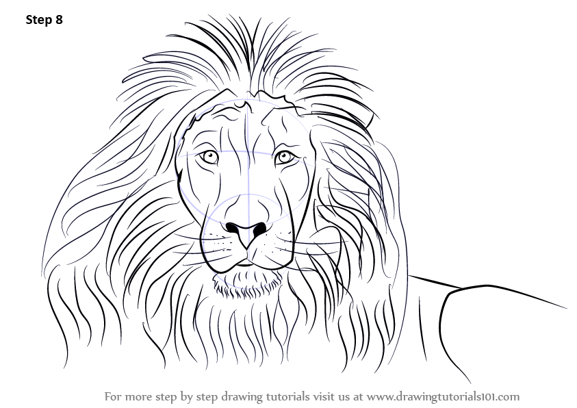 Learn How to Draw a Lion's Face (Big Cats) Step by Step : Drawing Tutorials