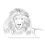 How to Draw a Lion's Face