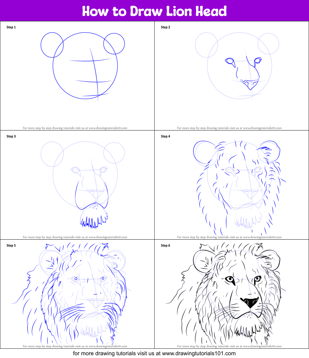 How to Draw Lion Head printable step by step drawing sheet ...