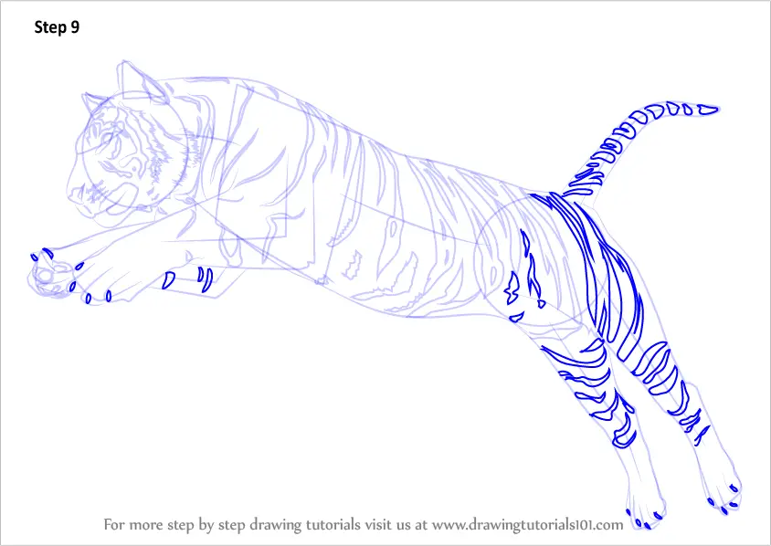 Learn How to Draw a Tiger Jumping (Big Cats) Step by Step : Drawing