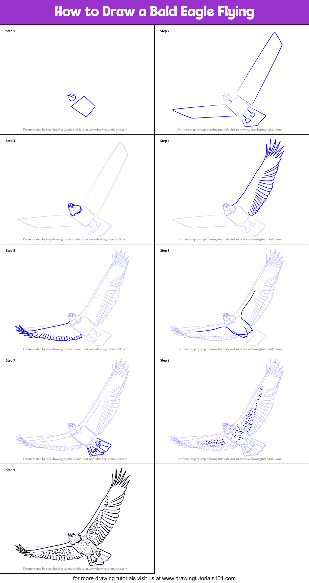 How to Draw a Bald Eagle Flying printable step by step
