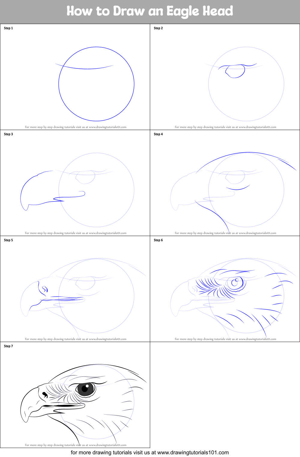 How to Draw an Eagle Head printable step by step drawing