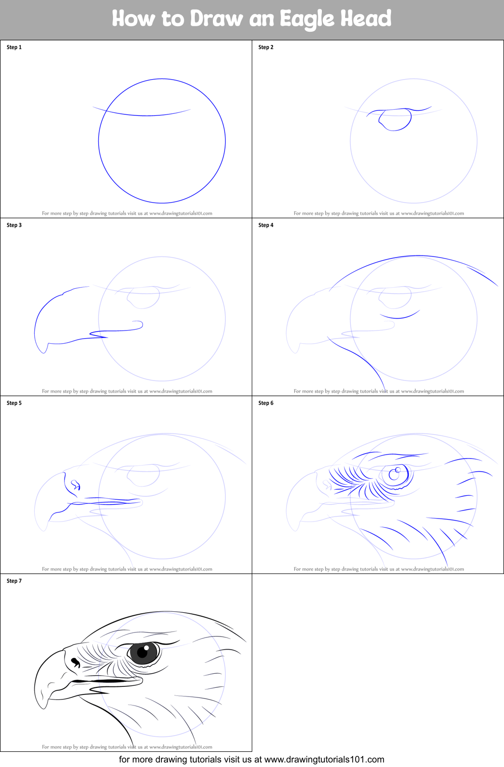 How to Draw an Eagle Head Printable Step by Step